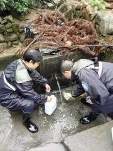 組建應(yīng)急分隊(duì)，筑牢汛期飲水安全防線